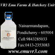 VR3 Emu Farms & Hatchery Unit - Click To Visit Our Website