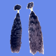 Hair