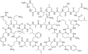 CJC 1295 without DAC
