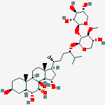 Compound Structure