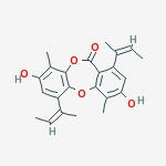 Compound Structure