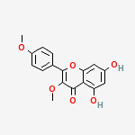 Compound Structure