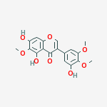 Compound Structure