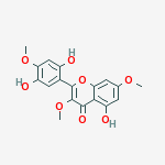 Compound Structure