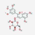 Compound Structure
