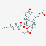 Compound Structure