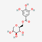 Compound Structure