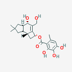 Compound Structure