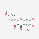 Compound Structure